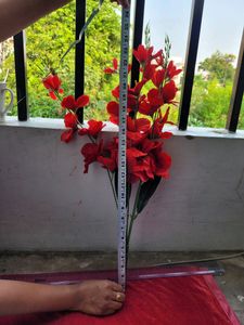 Red Hibiscus Flower Bunch