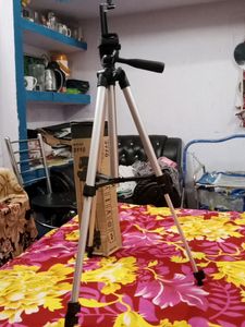 long saij