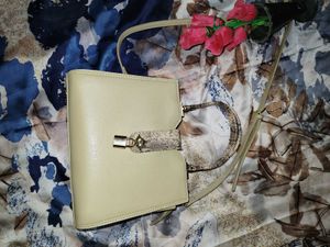 Elegant Handbag