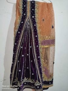 Festival Saree