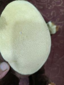 Orignal Masha and the Bear Plush