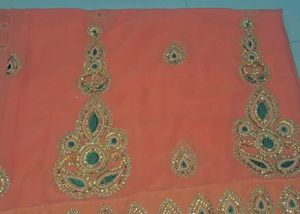 Coral Stones And Breads Saree
