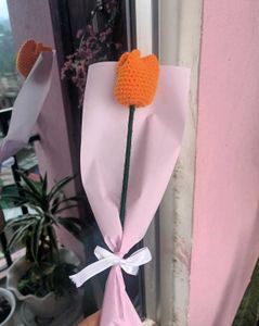 Single Tulip