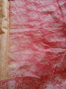 Elegant Ethnic Saree 😍