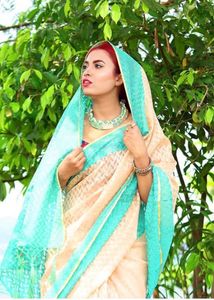 handloom Saree
