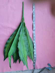 Leaf Bunches