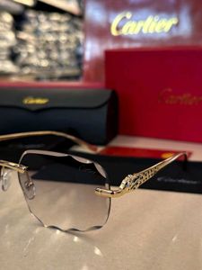 Cartier Unisex Premium Sunglasses