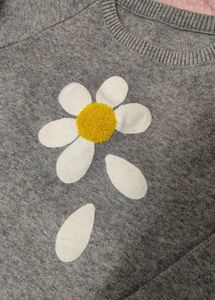 SHEIN Cute Cropped Pullover