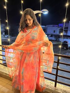 Multicolor Organza Suit