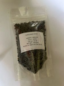 Sunflower seeds for plantation
