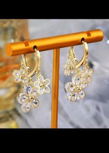₹250/- Earrings