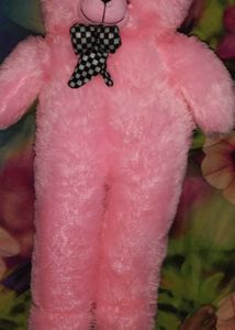 Teddy 🧸