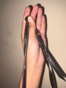 Charles And Keith Bag