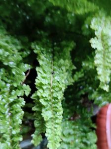 Combo for @thriftstore