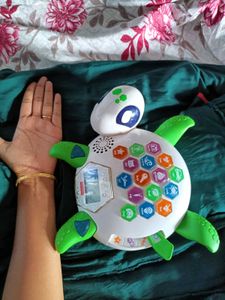 Fisher-Price Alphabet Turtle