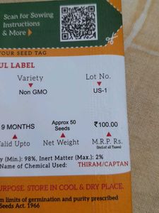 VEGETABLE SEEDS-CHILLI ACHARI