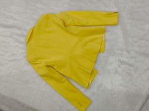 Line Yellow Zara Blazer