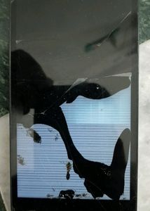 Gionee Phone Screen Has Been Broken