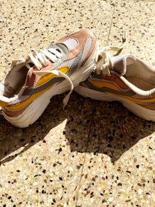 Sport Shoe