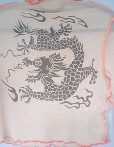Sheer Dragon Mesh Top