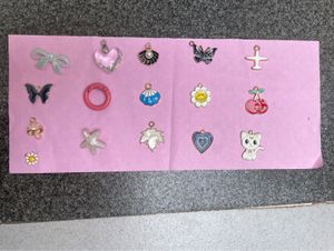 Assorted Charm Collection