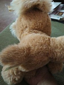 Soft Toy