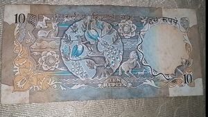 Rare Peacock Printed 10 Rs Note