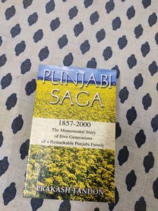Punjabi Saga