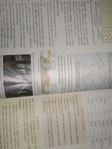 The Network of Chemistry - Grade 9