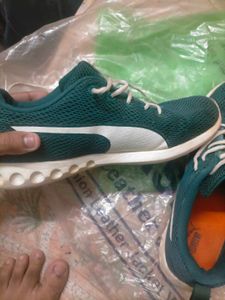 Puma Green Running Shoes