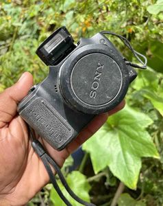 Sony Cyber-shot DSC-H20 Digital Camera