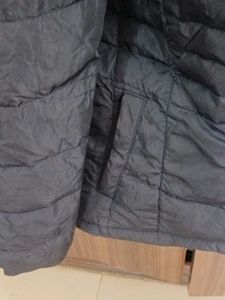 Crocodile Navy Blue Puffer Jacket