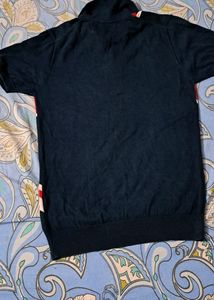u.s polo brand.