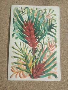 Vintage Botanical Art Print