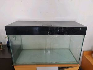Glass Aquarium With Black Lid