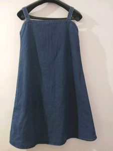 Denim Button-Front Dress