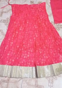 Elegant Indian Dress