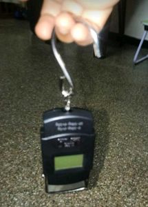 Electronic Portable Weight Scale