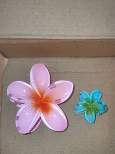 Flower Hair Clips ( 1 free gift from my side )
