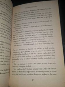 Her Frozen Heart by Lulu Taylor
