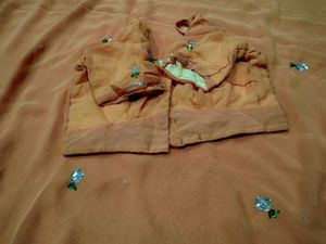 Elegant heavy Peach Saree