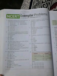 Biology Ncert At Your Fingertips