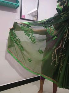 Green Embroidered Saree