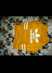 Combo Of 5 T-shirts