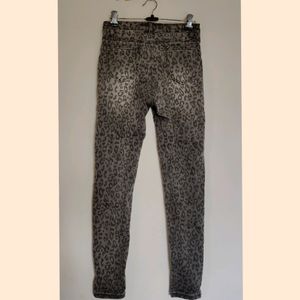 Imported Animal Print pant