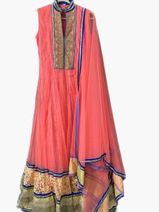 Elegant Indian Anarkali Dress