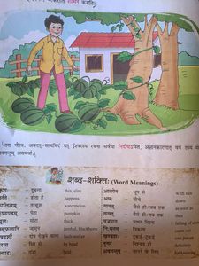 Sanskrit Book Class 8th