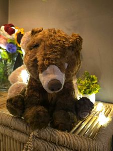 Collectible Disney Brand  Plush Bear