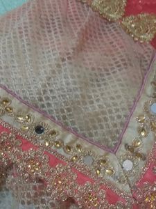 Half Net Sadi With Blause