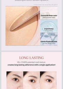 Clio Kill Cover Mesh Foundation